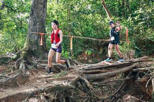 BIB: 
                            <button type="button" onclick="openModal(27556305)" class="btn btn-primary btn-sm float-right btn-popup" data-toggle="modal" data-target=".modal-high-quality">
                        <i class="fas fa-shopping-cart"></i> Add to Cart
                    </button>
                                            <button type="button" onclick="isThisMe(27556305, true)" class="btn btn-success btn-sm float-right btn-popup btn-isme hidden" data-toggle="tooltip" data-placement="bottom" title="นี่คือรูปของคุณใช่ไหม คลิกที่นี่เพื่อเอาเข้าอัลบั้ม">
                        <i class="fas fa-plus"></i> Add to album
                    </button>
                    <button type="button" onclick="isThisMe(27556305, false)" class="btn btn-warning btn-sm float-right btn-popup btn-isnotme hidden">
                        <i class="fas fa-ban"></i> Remove from album
                    </button>